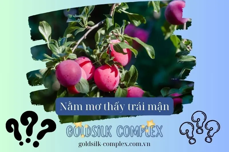 Điềm báo tốt hay xấu khi nằm mơ thấy cây mận