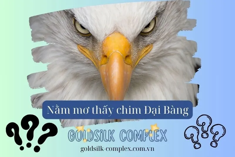 Giấc Mơ Thấy Chim Đại Bàng Và Những Bài Học Về Tự Tin, Quyền Lực Và Sức Mạnh Nội Tâm
