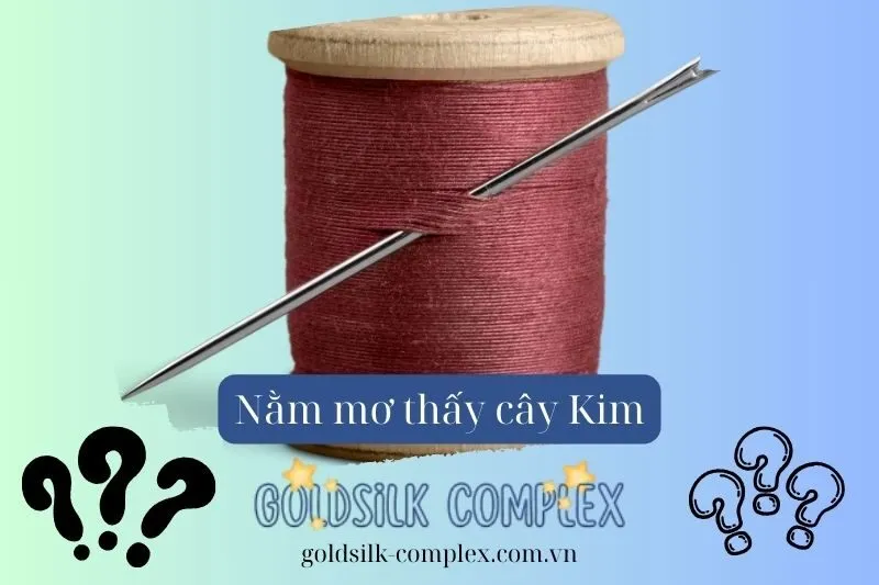 Giải mã các điềm báo phổ biến khi nằm mơ thấy cây kim