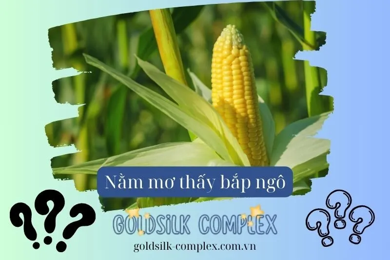 Giải mã chi tiết các giấc mơ về bắp ngô
