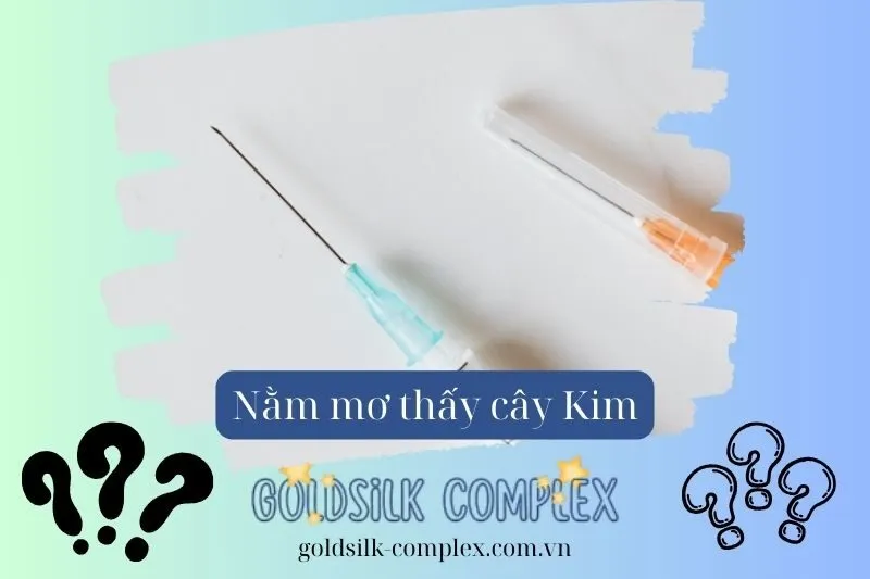 Giải mã liên quan đến cây kim trong các tình huống khác nhau