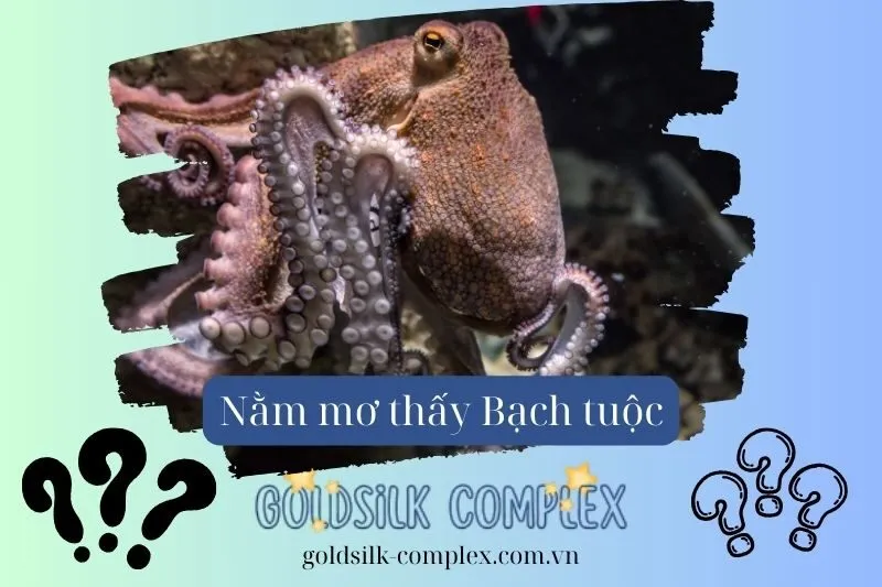 Giải Mã Ý Nghĩa Khi Nằm Mơ Thấy Bạch Tuộc