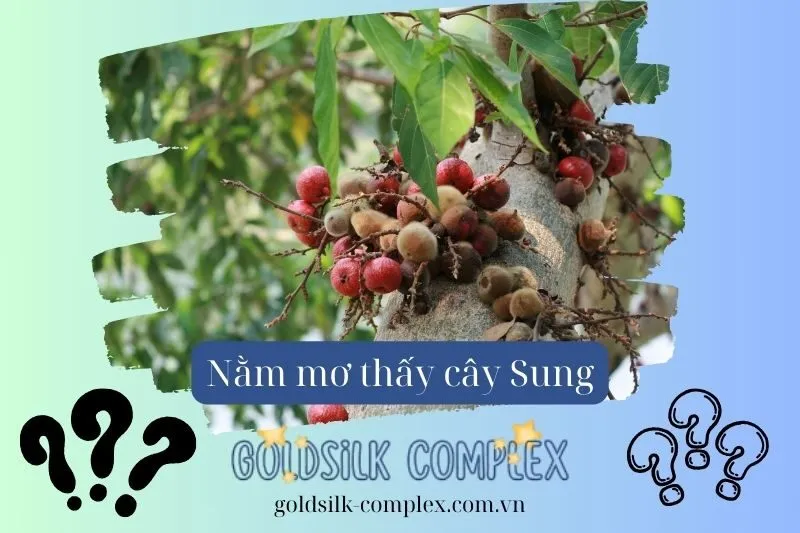 Giải thích các tình huống đặc biệt khi mơ thấy quả sung