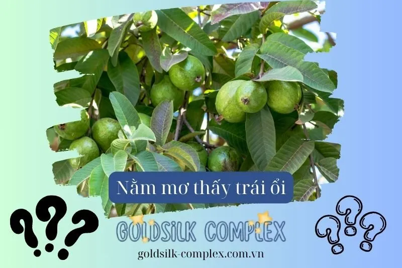 Khám phá Ý nghĩa khi Nằm Mơ Thấy Trái Ổi - Con số may mắn 2025?