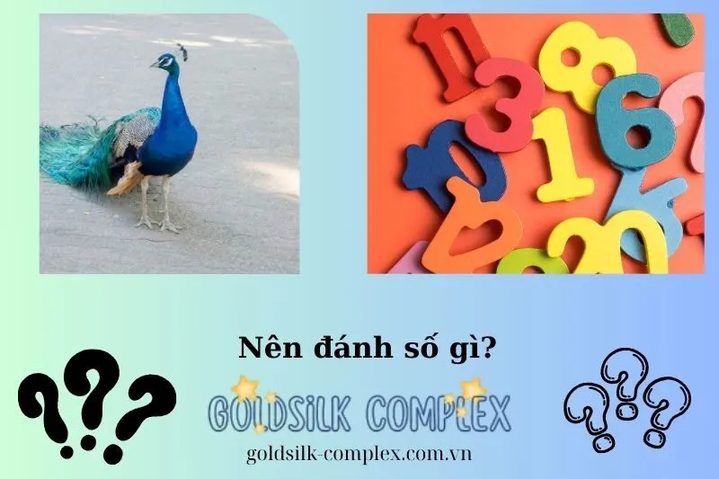 Mơ Thấy Chim Công Và Các Con Số May Mắn Tương Ứng