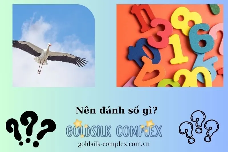 Mơ thấy cò trắng liên quan đến tài lộc và sự may mắn