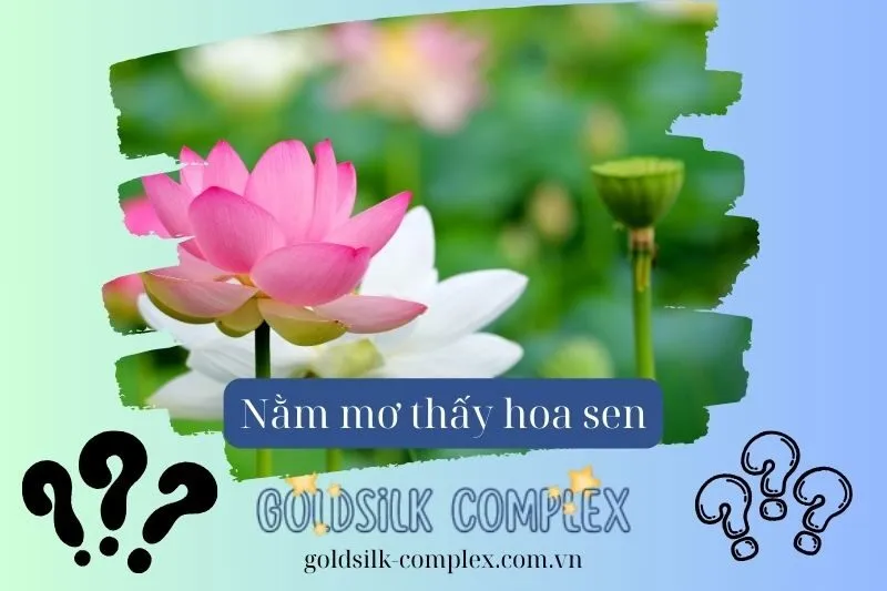 Mối liên kết giữa hoa sen và các giá trị tâm linh trong giấc mơ