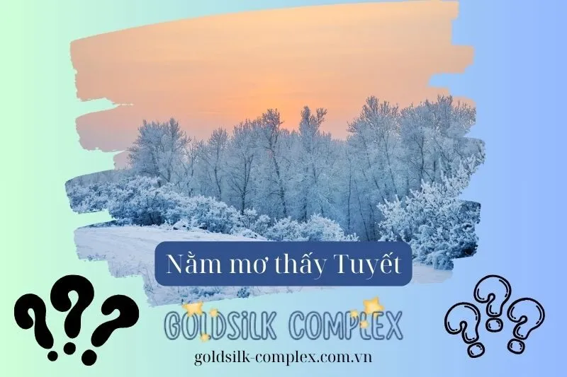 Một Số Tình Huống Thường Gặp Khi Mơ Thấy Tuyết