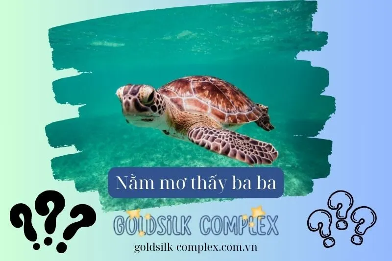Nằm Mơ Thấy Ba Ba: Giải Mã Ý Nghĩa, Con số may mắn và Điềm Báo Tài Lộc 2025