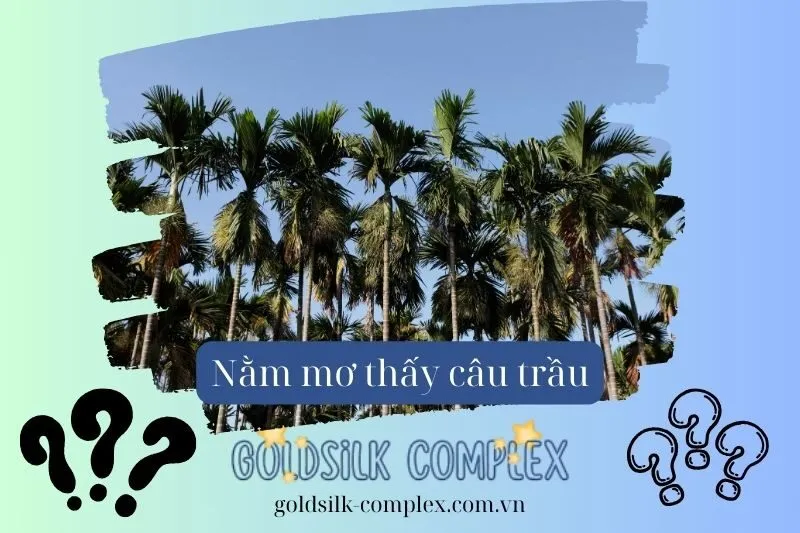 Nằm mơ thấy buồng cau có ý nghĩa gì? Giải mã con số may mắn và điềm báo