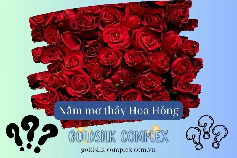 Nằm Mơ Thấy Cây Hoa Hồng – Giải Mã Ý Nghĩa Điềm Báo Tình Cảm 2025