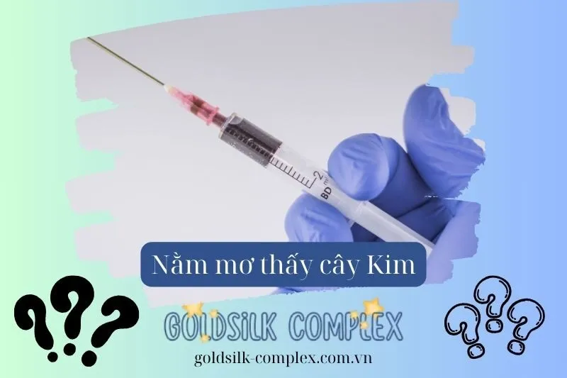 Nằm mơ thấy cây kim: Ý nghĩa giấc mơ và điềm báo lành dữ 2025