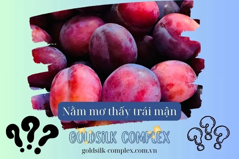 Nằm mơ thấy cây mận: Giải mã ý nghĩa con số may mắn và điềm báo chi tiết