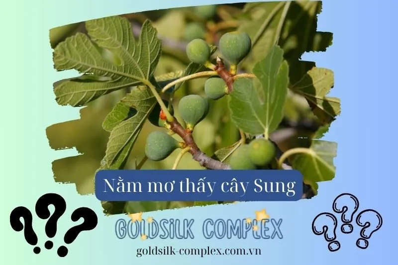 Nằm mơ thấy cây sung: Giải mã ý nghĩa và dấu hiệu tâm linh 2025