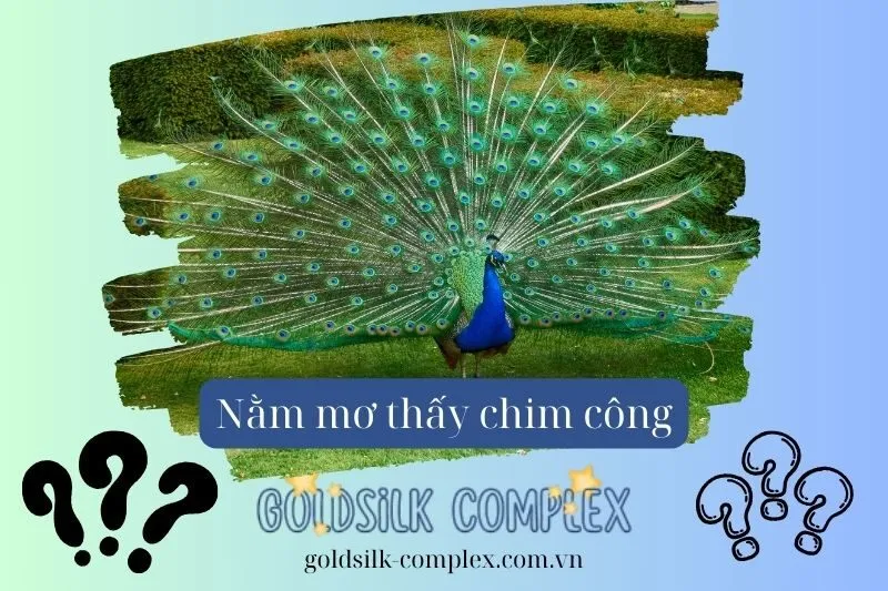 Nằm Mơ Thấy Chim Công: Điềm Báo và Con Số May Mắn 2025