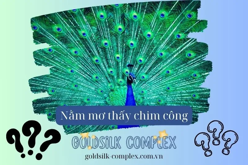 Nằm Mơ Thấy Chim Công Xòe Đuôi – Điềm Báo Tốt Lành