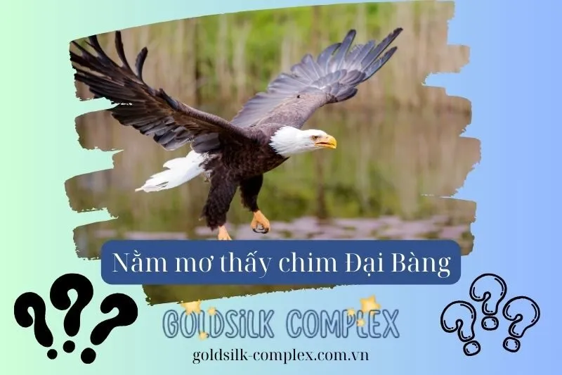 Nằm Mơ Thấy Chim Đại Bàng Là Điềm Gì? Ý nghĩa từng giấc mơ 2025