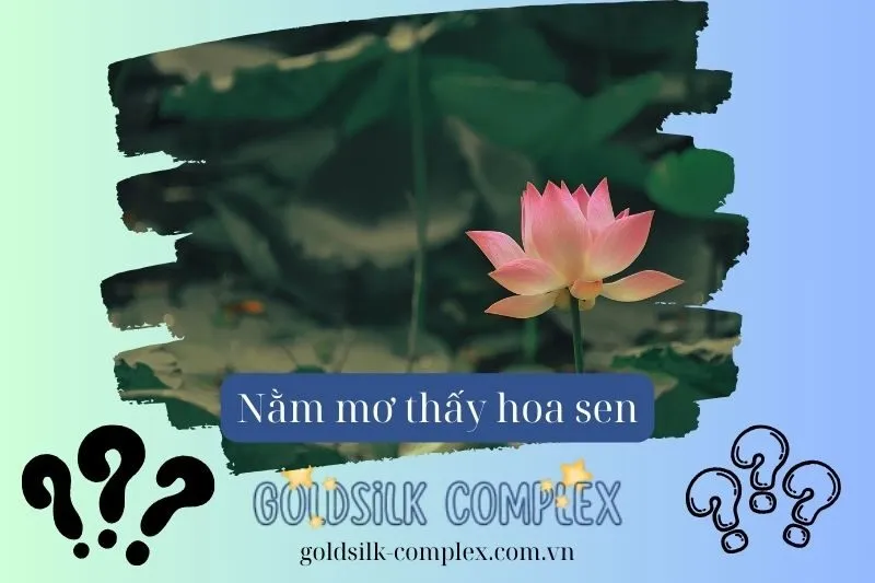 Nằm mơ thấy hoa sen: Giải mã ý nghĩa, điềm báo, con số may mắn 2025