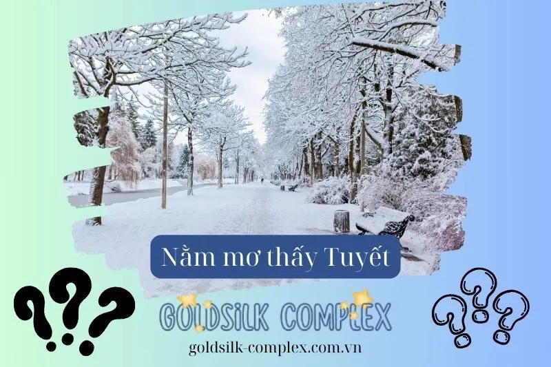 Nằm Mơ Thấy Tuyết: Giải Mã Ý Nghĩa Điềm Báo Tốt Xấu, Con số may mắn 2025