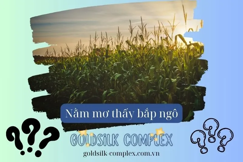 Những biểu tượng phổ biến khi mơ thấy bắp ngô