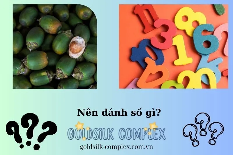 Những con số may mắn liên quan đến giấc mơ thấy buồng cau