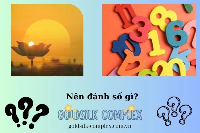 Những con số may mắn liên quan đến giấc mơ thấy hoa sen