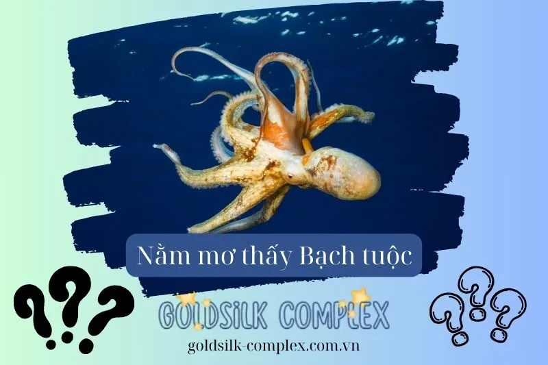 Những Tình Huống Thường Gặp Khi Mơ Thấy Bạch Tuộc