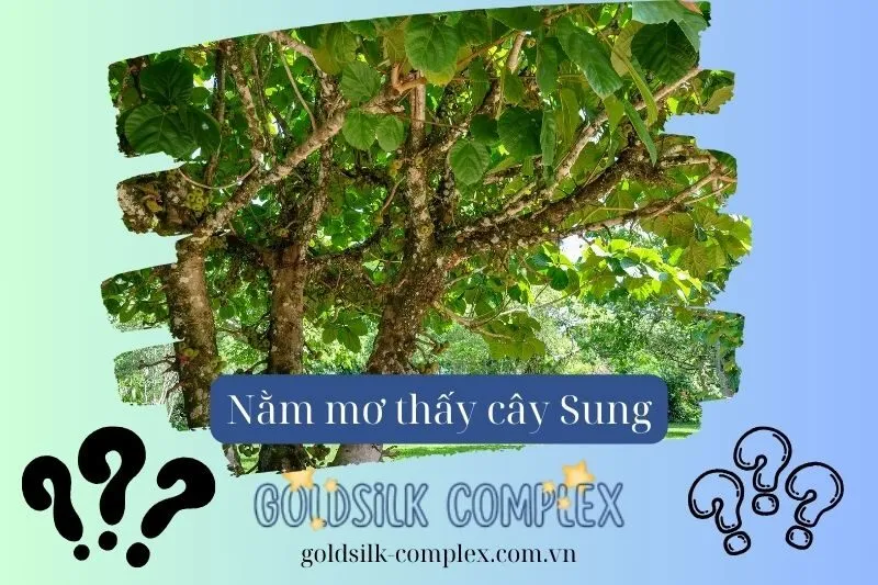 Những ý nghĩa chi tiết khi nằm mơ thấy cây sung trong từng trường hợp
