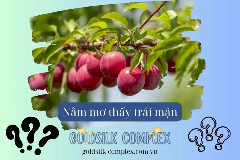 Những yếu tố nào ảnh hưởng đến ý nghĩa giấc mơ thấy cây mận