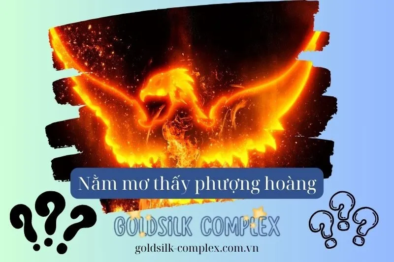 Phượng Hoàng Và Những Tác Động Đến Cuộc Sống, Tình Cảm Và Sự Nghiệp