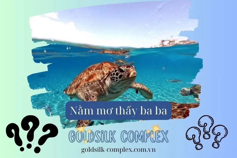 Tầm Quan Trọng Của Giấc Mơ Thấy Ba Ba Trong Phong Thủy Và Tâm Linh