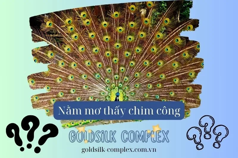 Tìm Hiểu Về Hình Ảnh Chim Công Trong Tâm Linh Và Văn Hóa