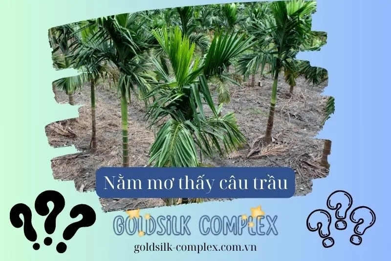 Tình duyên trong giấc mơ thấy buồng cau