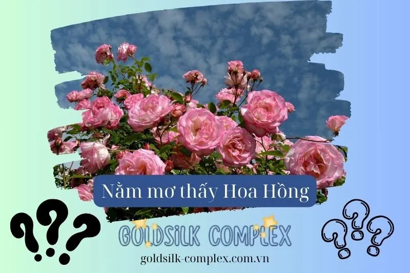 Tình yêu và mối quan hệ được thể hiện qua giấc mơ thấy cây hoa hồng