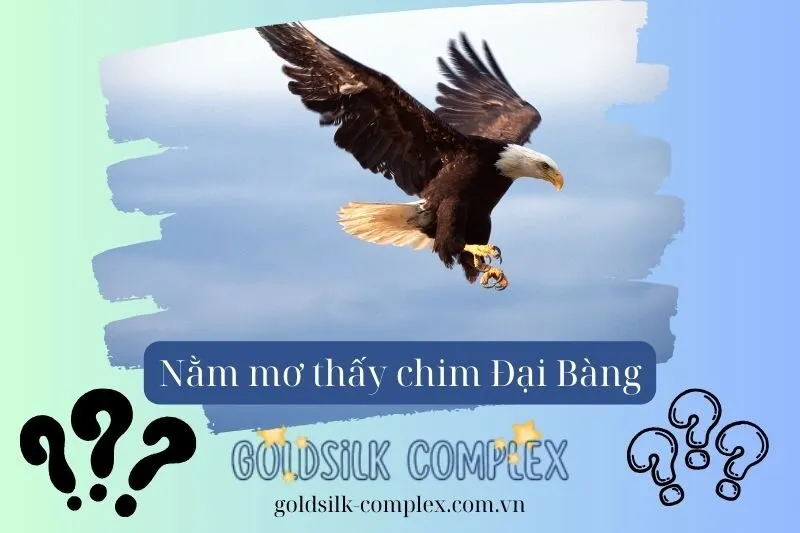 Ý Nghĩa Khi Nằm Mơ Thấy Chim Đại Bàng