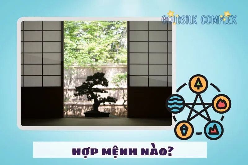 Cách chọn cây phong thủy trong nhà phù hợp với tuổi và mệnh