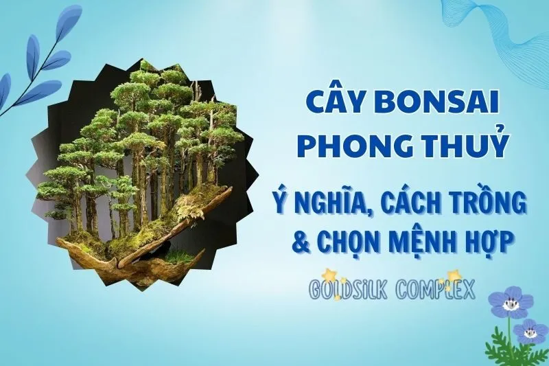 Cây bonsai phong thủy 2025: Cách chọn, ý nghĩa và chăm sóc