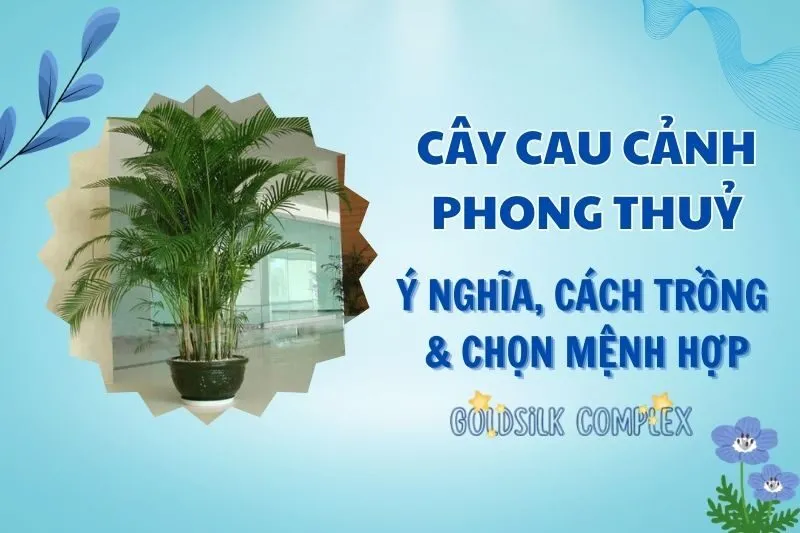 Cây Cau Cảnh Phong Thủy 2025: Ý Nghĩa, Công Dụng Và Cách Chăm Sóc