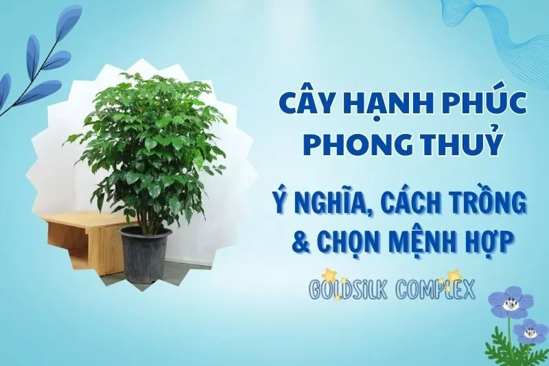 Cây hạnh phúc phong thuỷ 2025: Ý nghĩa, cách trồng và chăm sóc