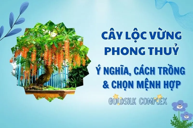 Cây lộc vừng phong thủy 2025: Ý nghĩa, cách trồng và chăm sóc