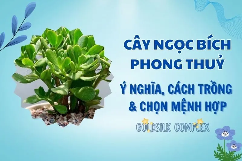 Cây ngọc bích phong thủy 2025: Ý nghĩa, hợp mệnh nào, cách chăm sóc