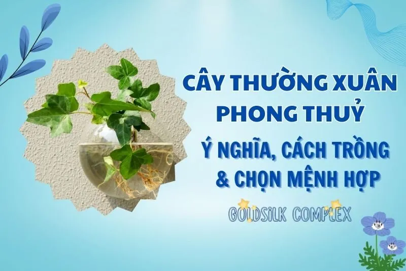 Cây Thường Xuân Phong Thủy 2025: Ý Nghĩa, Công Dụng và Cách Trồng