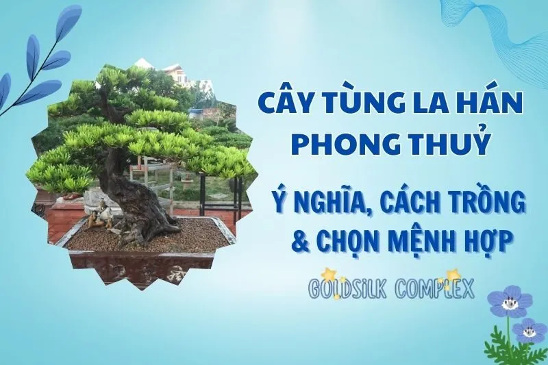 Cây tùng la hán phong thủy 2025: Ý nghĩa, cách trồng và chăm sóc