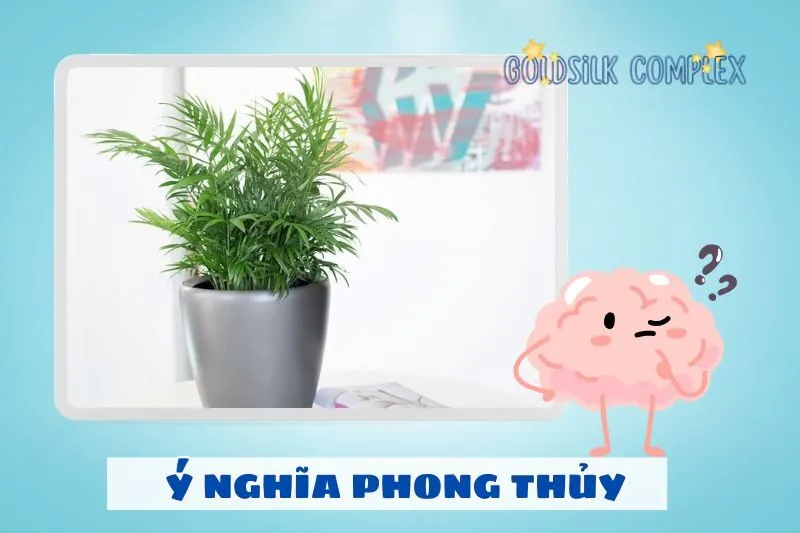 Ý nghĩa phong thủy của cây cau tiểu trâm