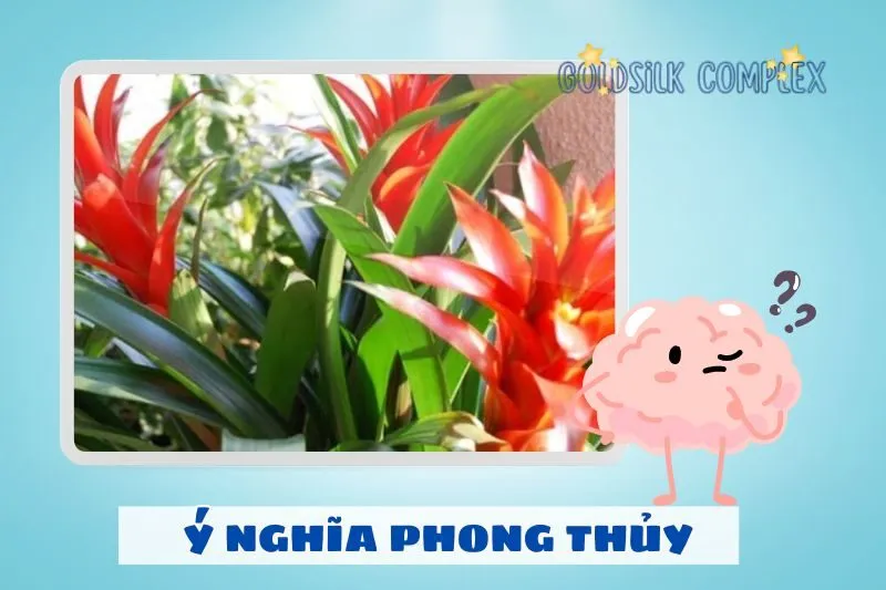 Ý nghĩa cây dứa cảnh nến trong phong thuỷ