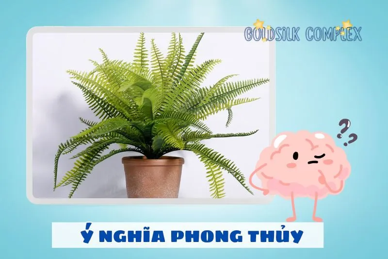 Ý nghĩa phong thủy của cây dương xỉ