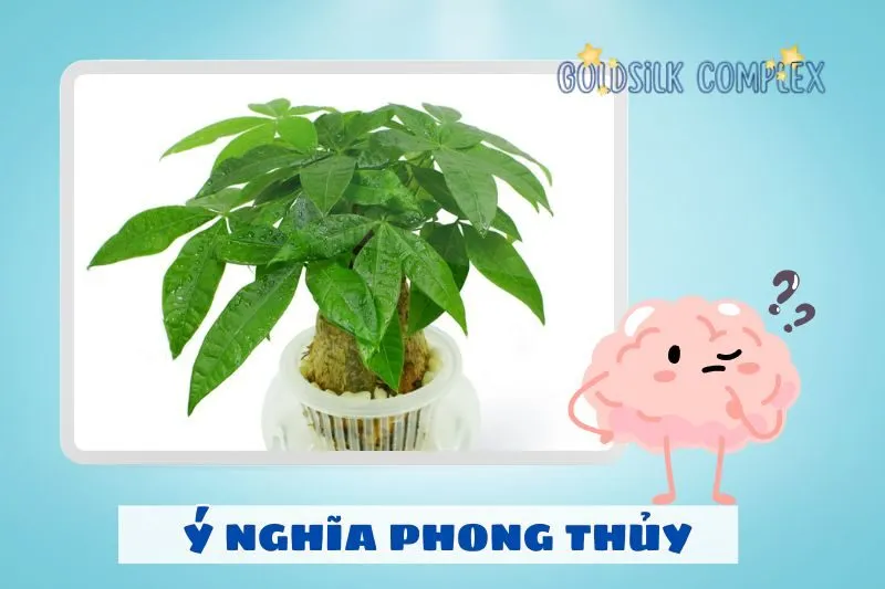 Ý nghĩa phong thủy của cây kim ngân