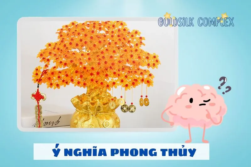 Cây kim tiền phong thủy có ý nghĩa gì?