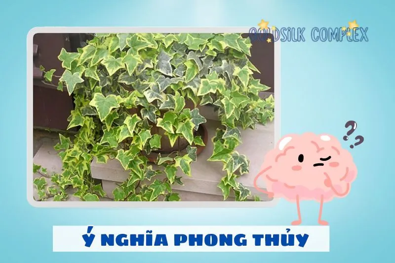 Ý nghĩa phong thủy của cây thường xuân