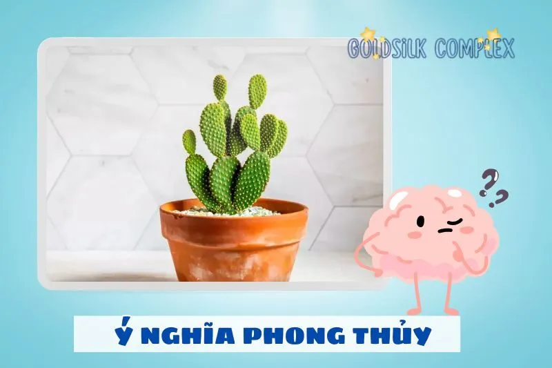 Ý nghĩa phong thủy của cây xương rồng